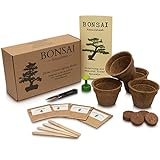 Anista - Set de cultivo para bonsái (4 variedades de semillas de bonsái en nuestro juego de planta)