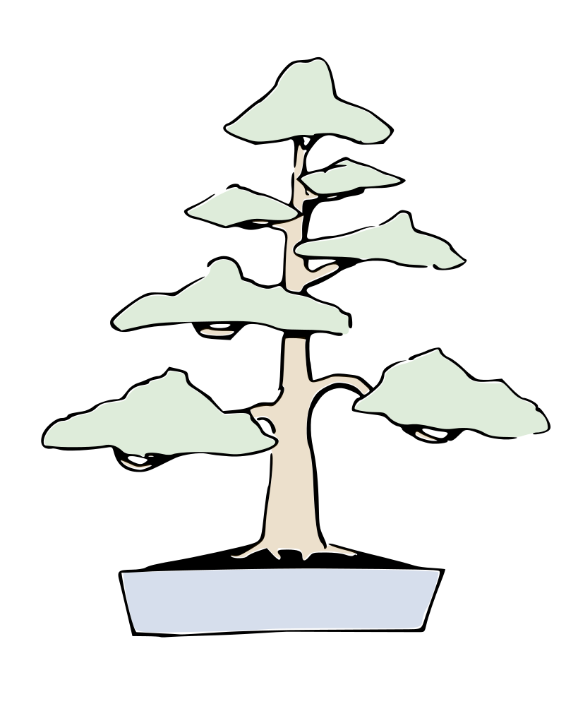bonsai chokkan estilo vertical formal
