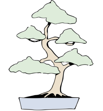 bonsai moyogi moyogi bonsai