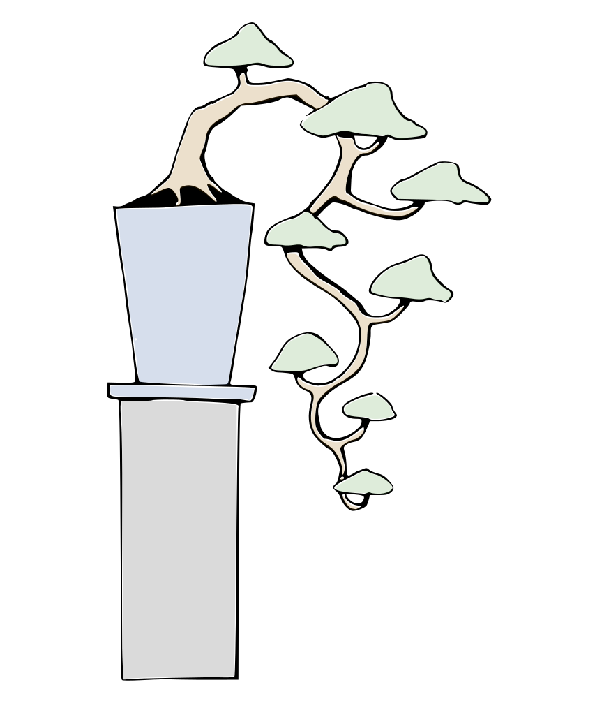 dibujo bonsai cascada kengai