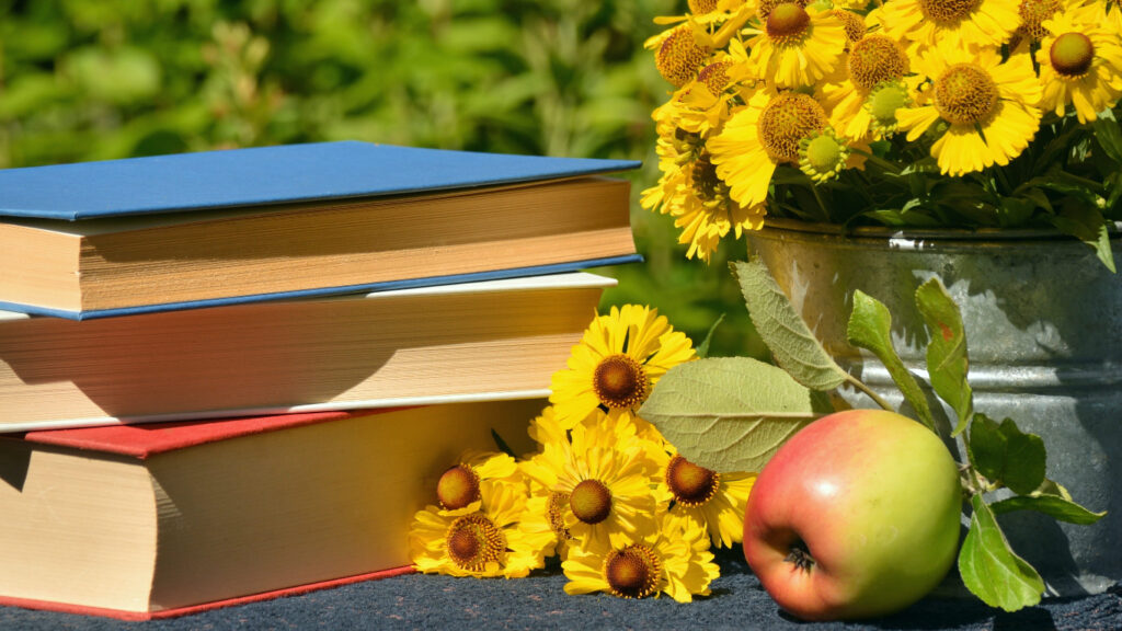 Regalar libros sobre bonsáis para aprender a cuidarlos desde cero 